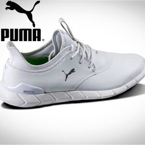 Ignite puma men’s shoes.